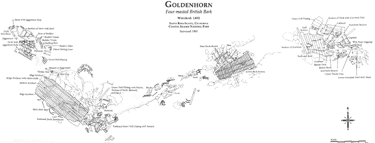 Goldenhorn Scatter.GIF (17760 bytes)
