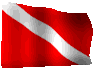 dflag.gif (10108 bytes)